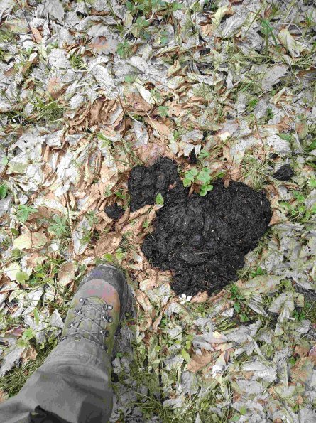 PA_RO_TM_otheractivitysignphoto_20220427122535838