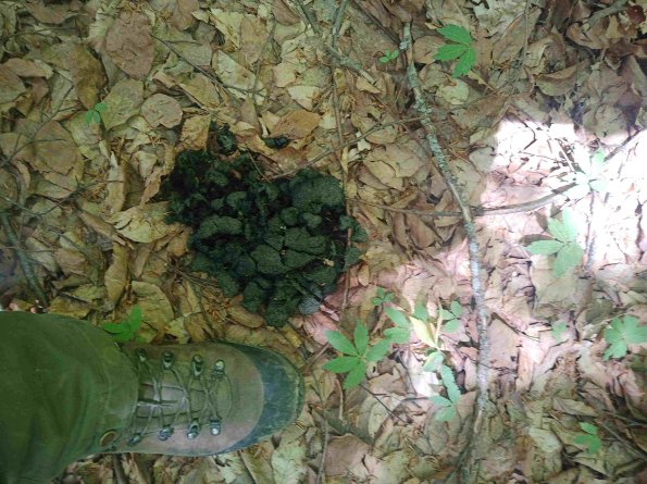 PA_RO_TM_otheractivitysignphoto_20220525111611300