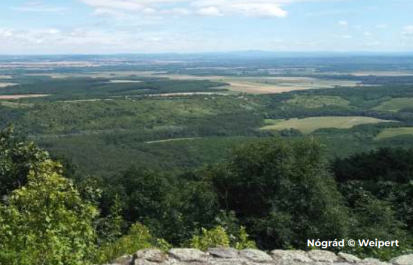 Screenshot-2023-01-30-130304