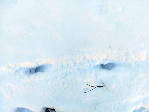 JPEG_20220521173558510