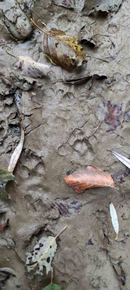 PA_UKR_abovefootprintphoto_20211124224032415