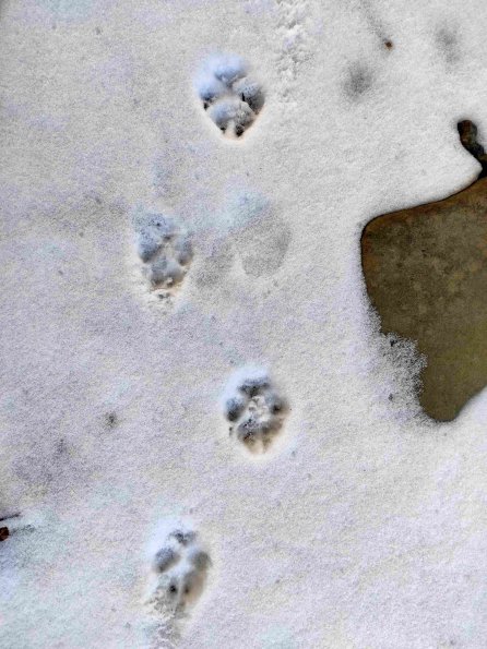 PA_UKR_abovefootprintphoto_20220124132844863