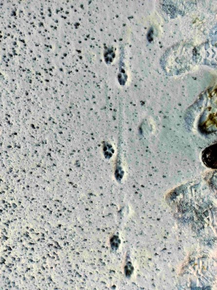 PA_UKR_abovefootprintphoto_20220124151655478