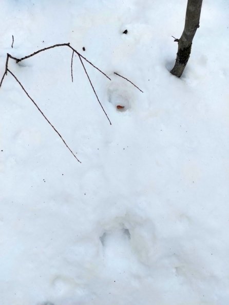 PA_UKR_abovefootprintphoto_20220124163230745