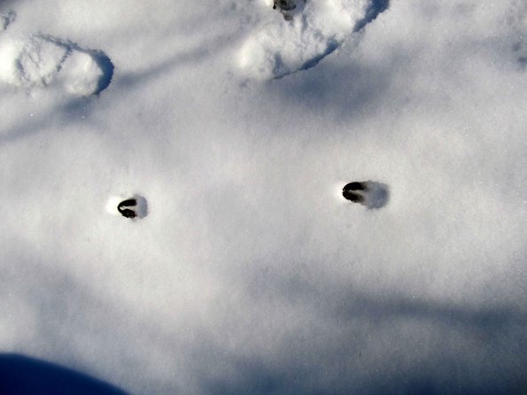 PA_UKR_abovefootprintphoto_20220521204917579