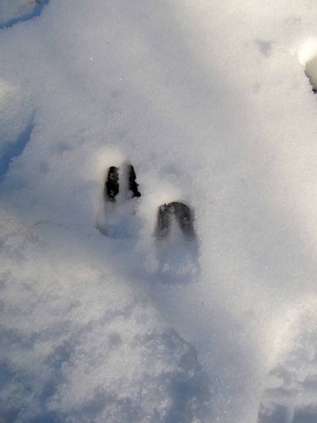 PA_UKR_abovefootprintphoto_20220522112041796