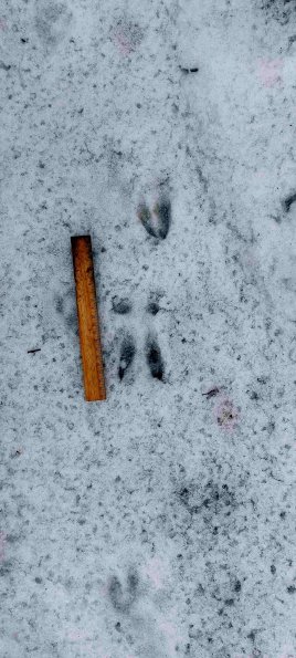 PA_UKR_abovefootprintphoto_20220522122024676