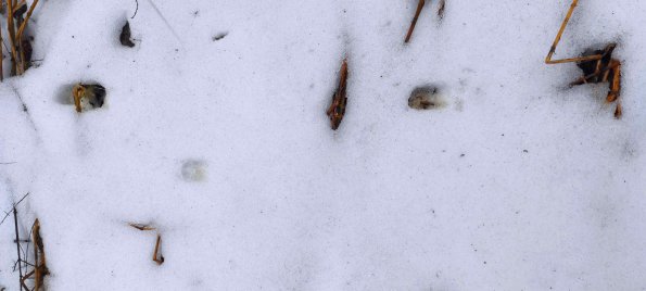 PA_UKR_abovefootprintphoto_20220522123009273