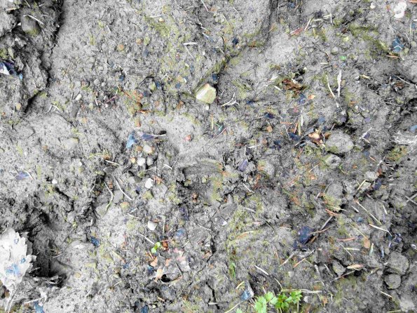 PA_UKR_abovefootprintphoto_20220522125800613