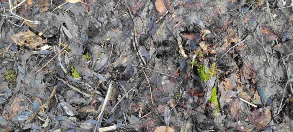 PA_UKR_abovefootprintphoto_20220522130852132