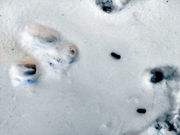 PA_UKR_abovefootprintphoto_20220522184115857