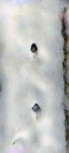 PA_UKR_abovefootprintphoto_20220522185144197