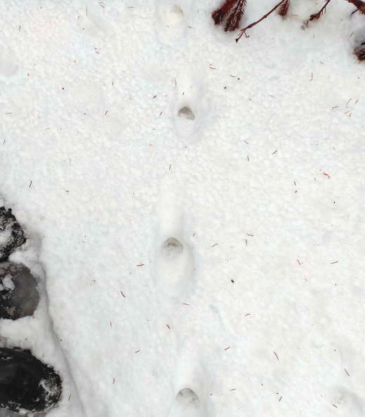 PA_UKR_abovefootprintphoto_20220522191338613