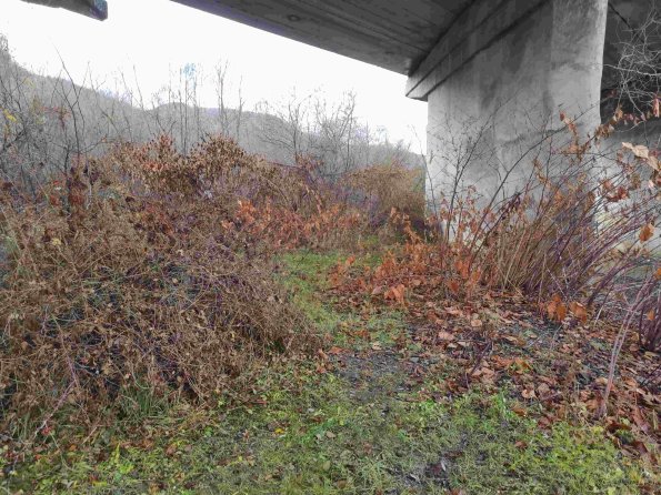 PA_UKR_insideunderpassphoto_20211120130218949