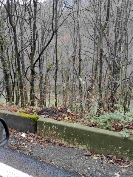 PA_UKR_lcelementphotolinear_20211121120709151