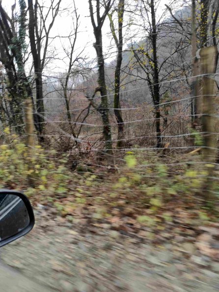 PA_UKR_lcelementphotolinear_20211121120821389