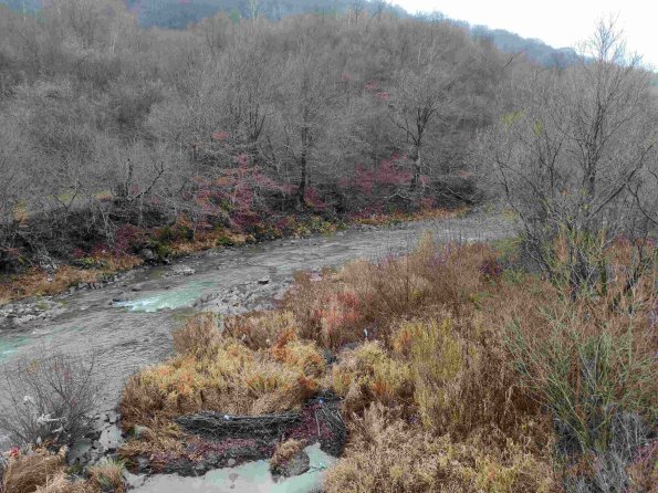 PA_UKR_photofromsurroundingunderpass_20211120150949285