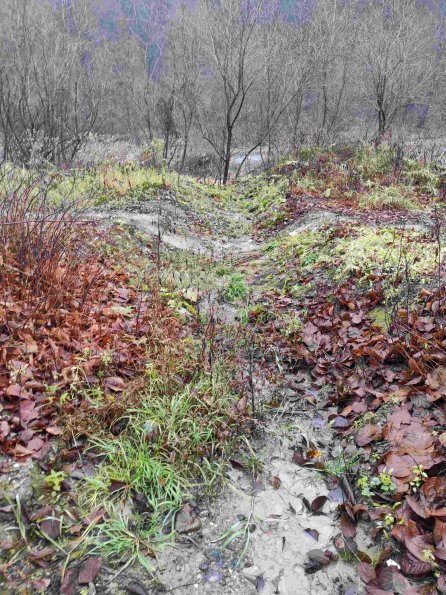 PA_UKR_photofromsurroundingunderpass_20211121124847698